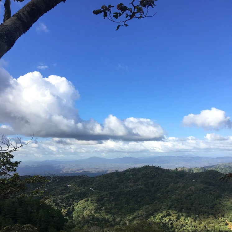 Café Nicaragua Bethania – Arabica doux aux notes chocolat/caramel & fruits