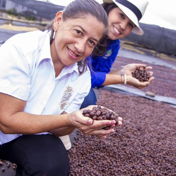 Café Nicaragua Bethania – Arabica doux aux notes chocolat/caramel & fruits