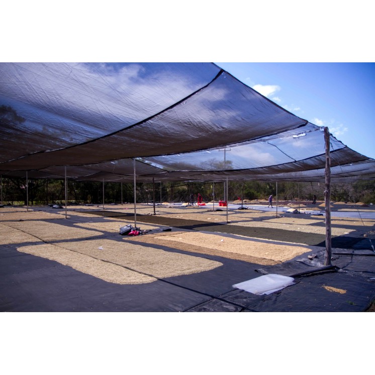 Café Nicaragua Bethania – Arabica doux aux notes chocolat/caramel & fruits