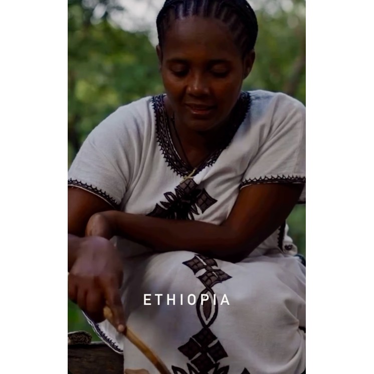 Café de spécialité d’Éthiopie - Yirgacheffe Lavé – 100 % Arabica | Café Umani