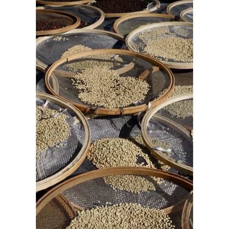 café de spécialité du Pérou