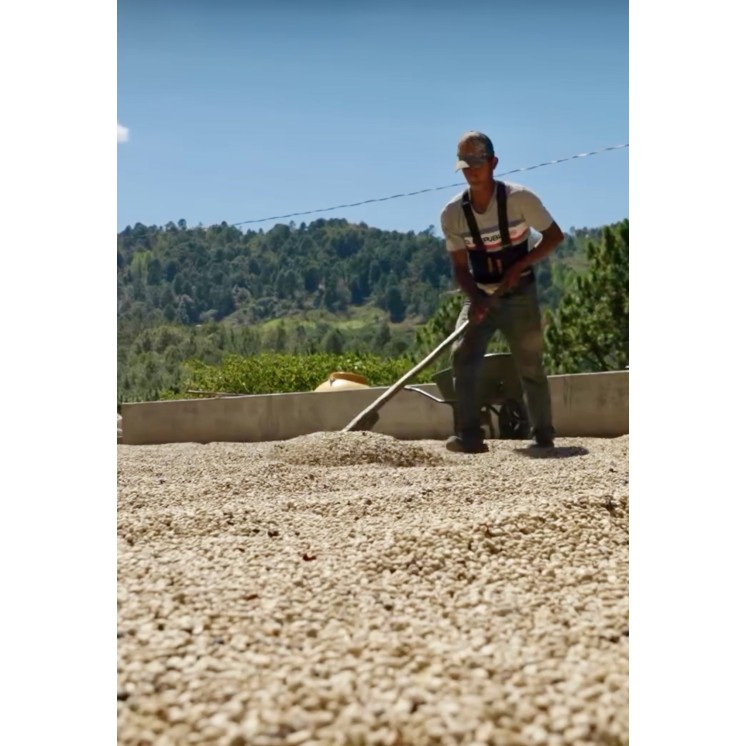 café de spécialité du Pérou